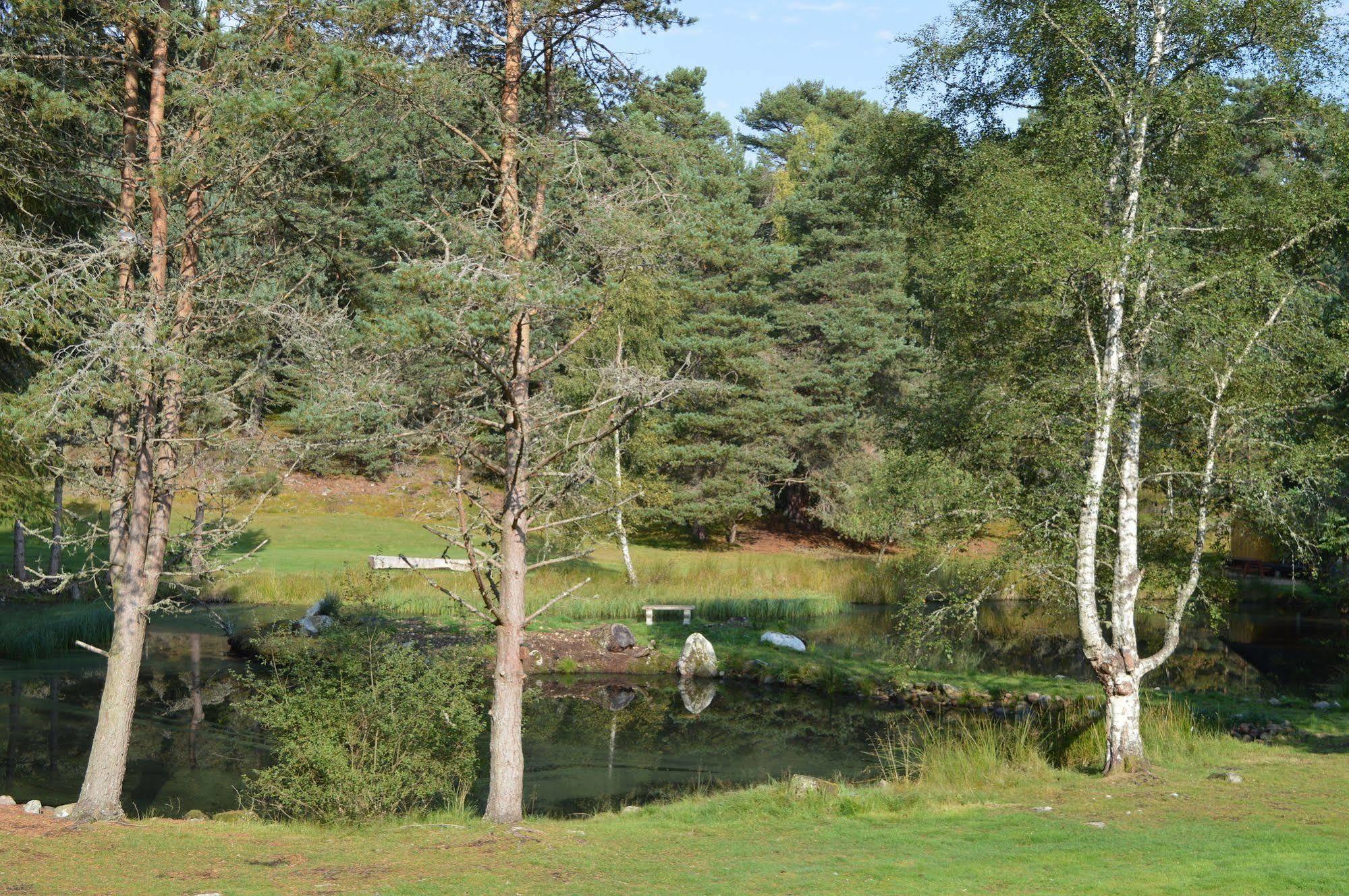 Fairwinds Hotel Carrbridge Dış mekan fotoğraf