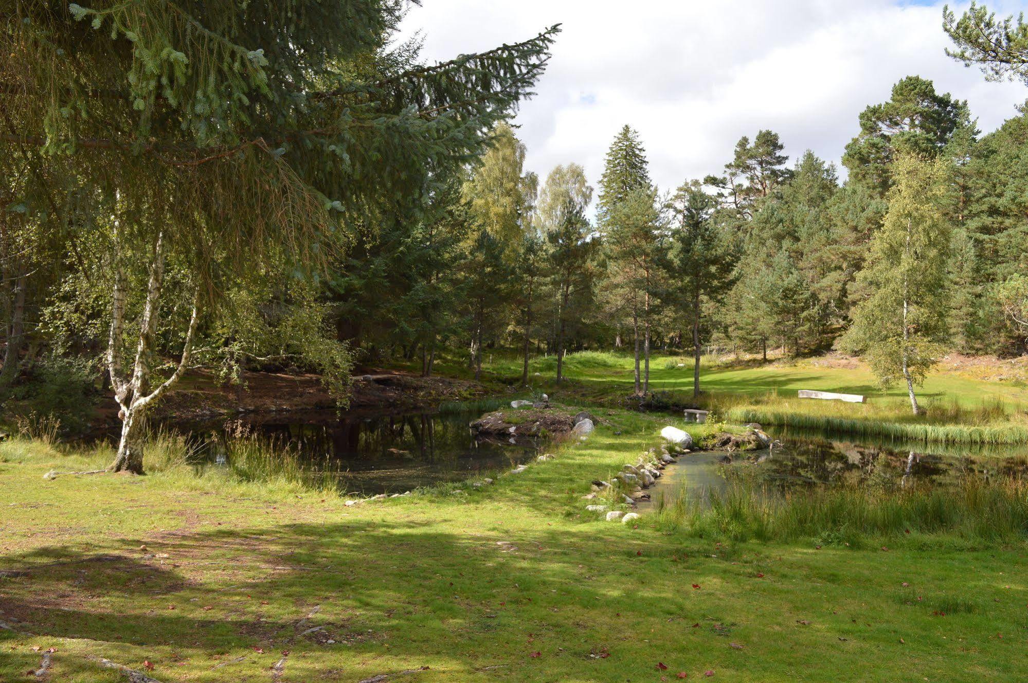 Fairwinds Hotel Carrbridge Dış mekan fotoğraf